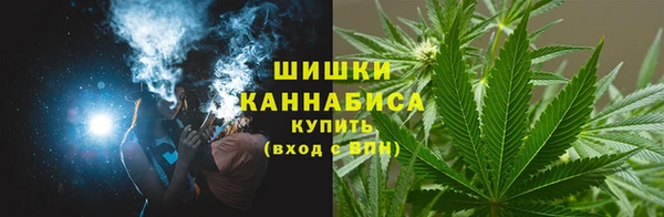 стаф Инсар