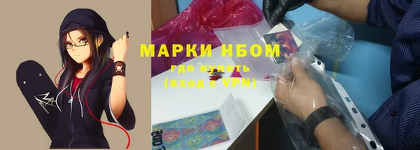 молекула духа Иннополис