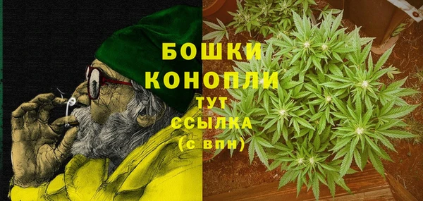 стаф Инсар