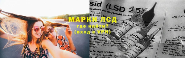 стаф Инсар